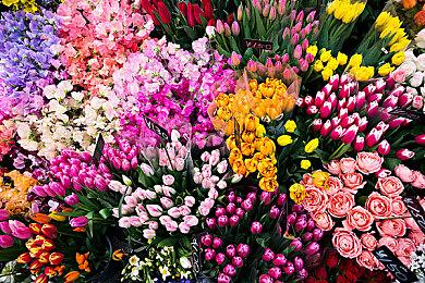 克系肉鸽SRPG《混沌小队》Steam页面上线 现已开启众筹